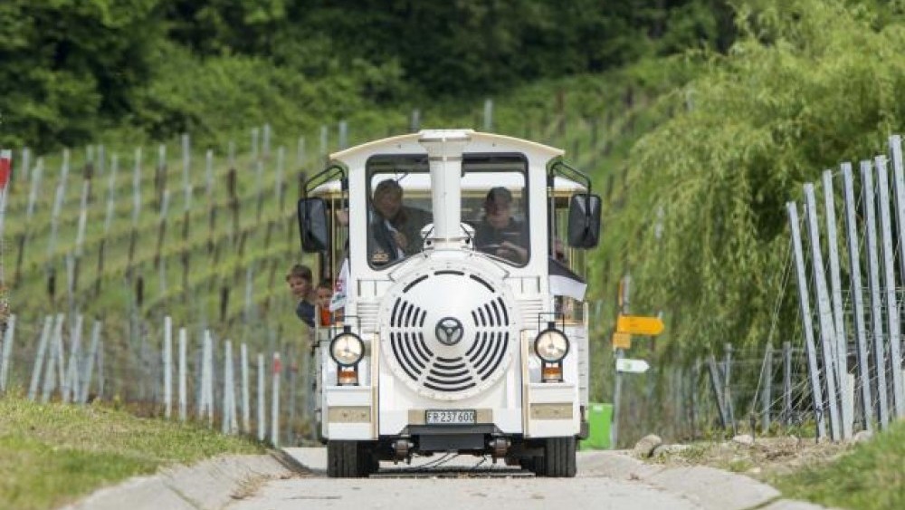 Entdecken Sie die Vully Weinberge an Bord der Rebebahn (Foto: rawkingphoto.ch, regionmurtensee.ch)
